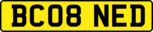 BC08NED