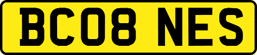 BC08NES