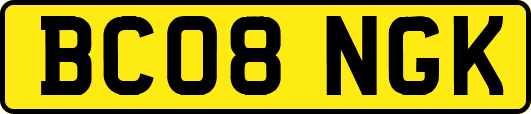 BC08NGK