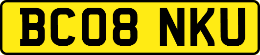 BC08NKU