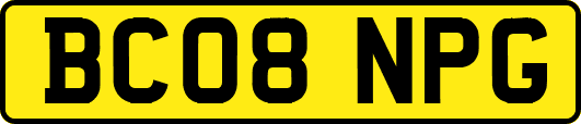 BC08NPG