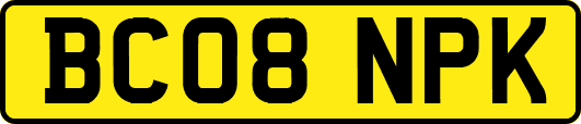 BC08NPK