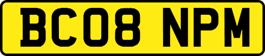 BC08NPM
