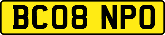 BC08NPO