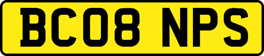 BC08NPS