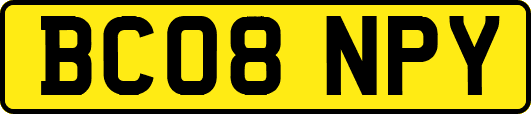 BC08NPY