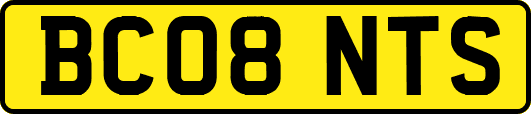 BC08NTS