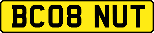 BC08NUT
