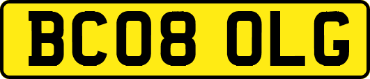 BC08OLG