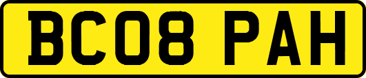 BC08PAH