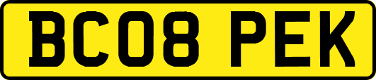BC08PEK