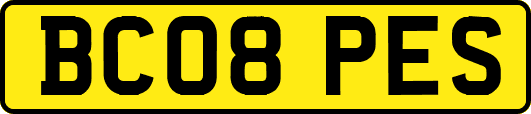 BC08PES
