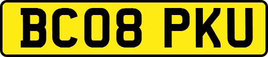 BC08PKU