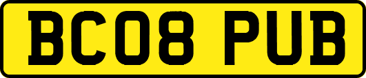 BC08PUB