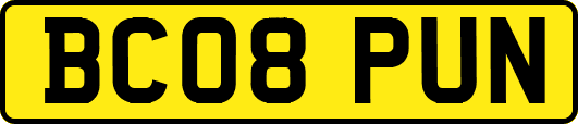 BC08PUN
