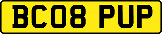 BC08PUP