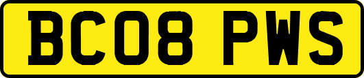 BC08PWS