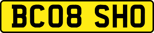 BC08SHO