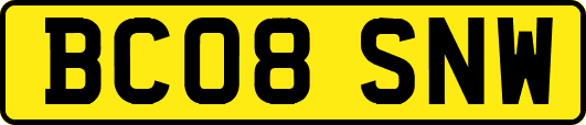BC08SNW