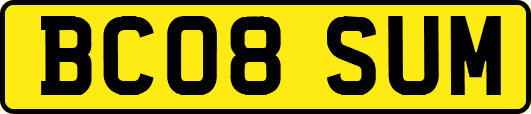 BC08SUM