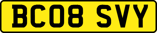 BC08SVY