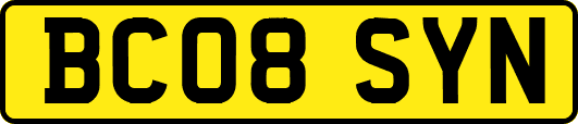 BC08SYN