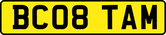 BC08TAM
