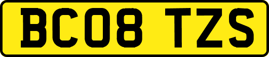 BC08TZS