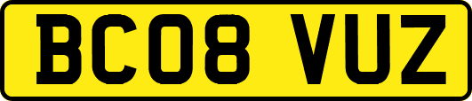 BC08VUZ
