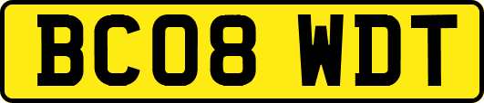 BC08WDT