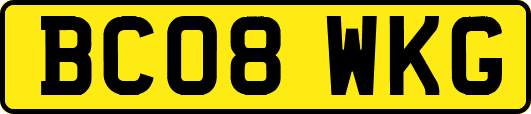 BC08WKG