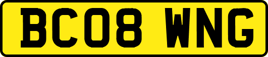 BC08WNG