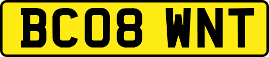 BC08WNT