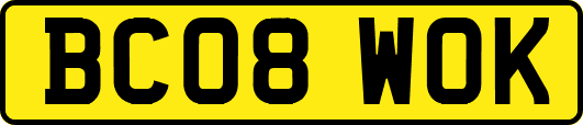 BC08WOK