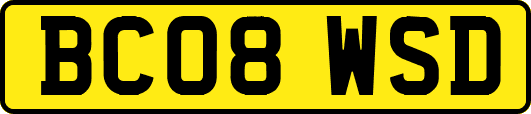 BC08WSD
