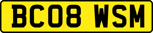 BC08WSM