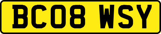 BC08WSY