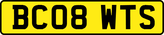 BC08WTS