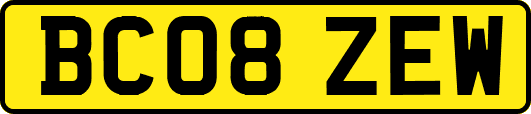 BC08ZEW
