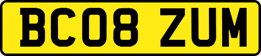 BC08ZUM
