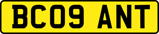 BC09ANT