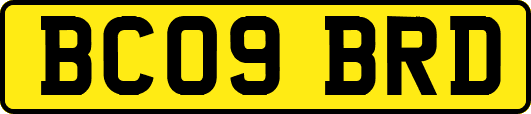 BC09BRD
