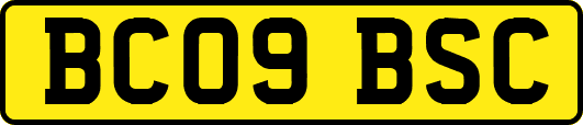 BC09BSC