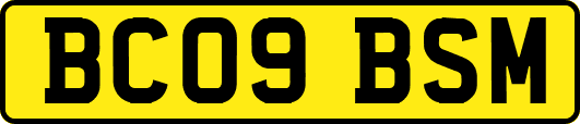 BC09BSM
