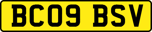 BC09BSV