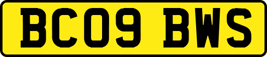 BC09BWS