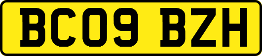 BC09BZH