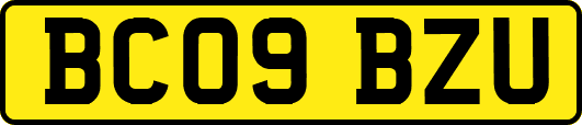 BC09BZU