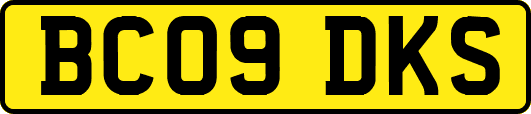 BC09DKS