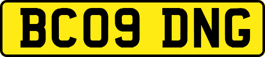BC09DNG